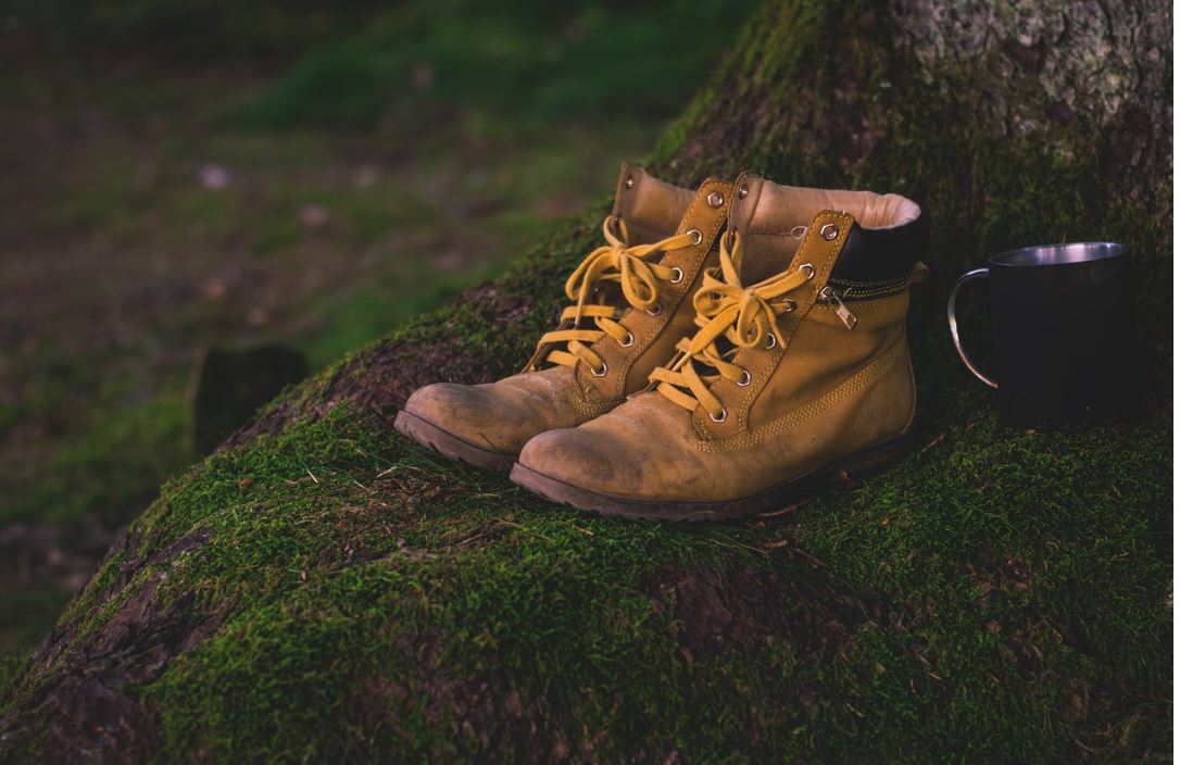 hiking boots and camping coffee mug on a mossy tree stump. adventures, hiking, trails, explore, camp