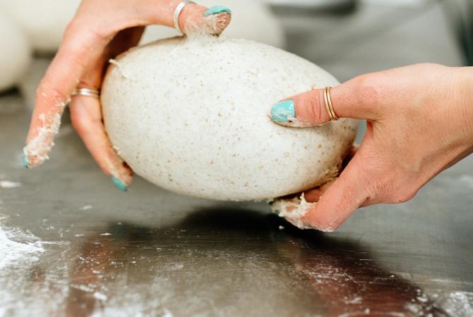 A perfect unbaked loaf of sour dough bread
